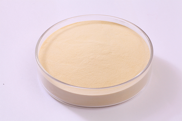 Cellulase Powder: A Comprehensive Guide on Benefits and Uses