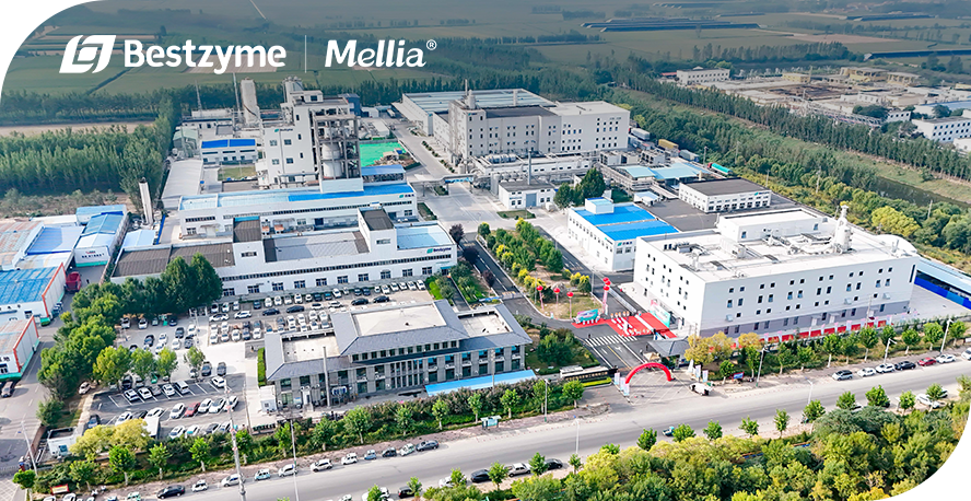 Bestzyme Mellia Jinan Facility
