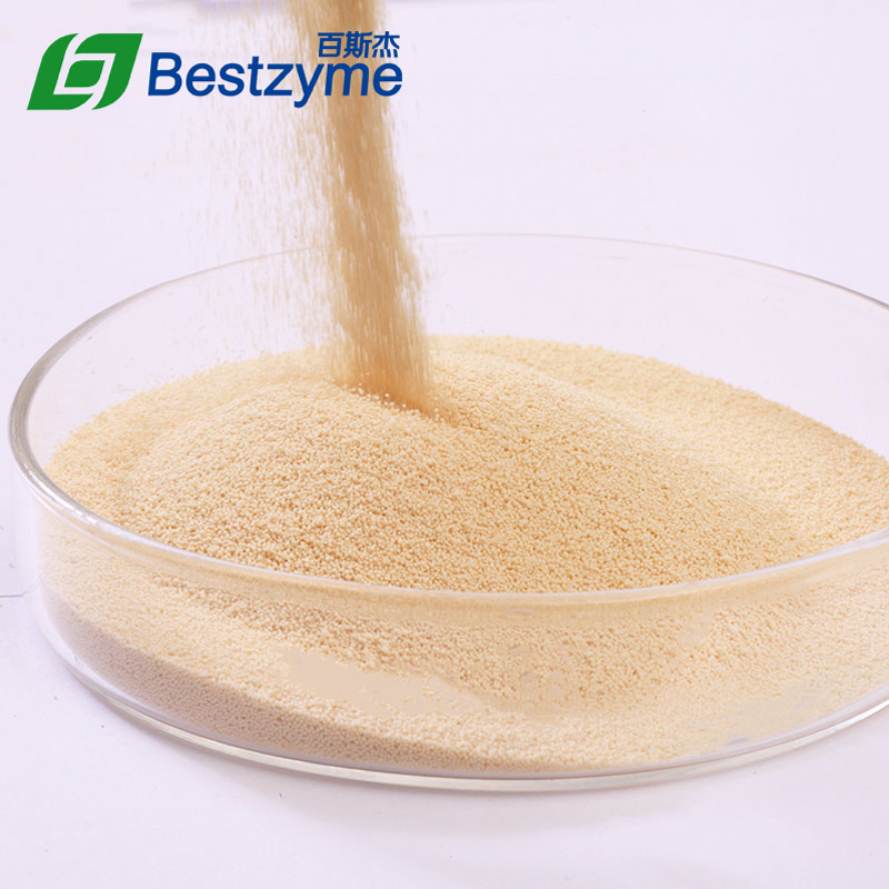 Bestzyme Thermostable Phytase Supplier