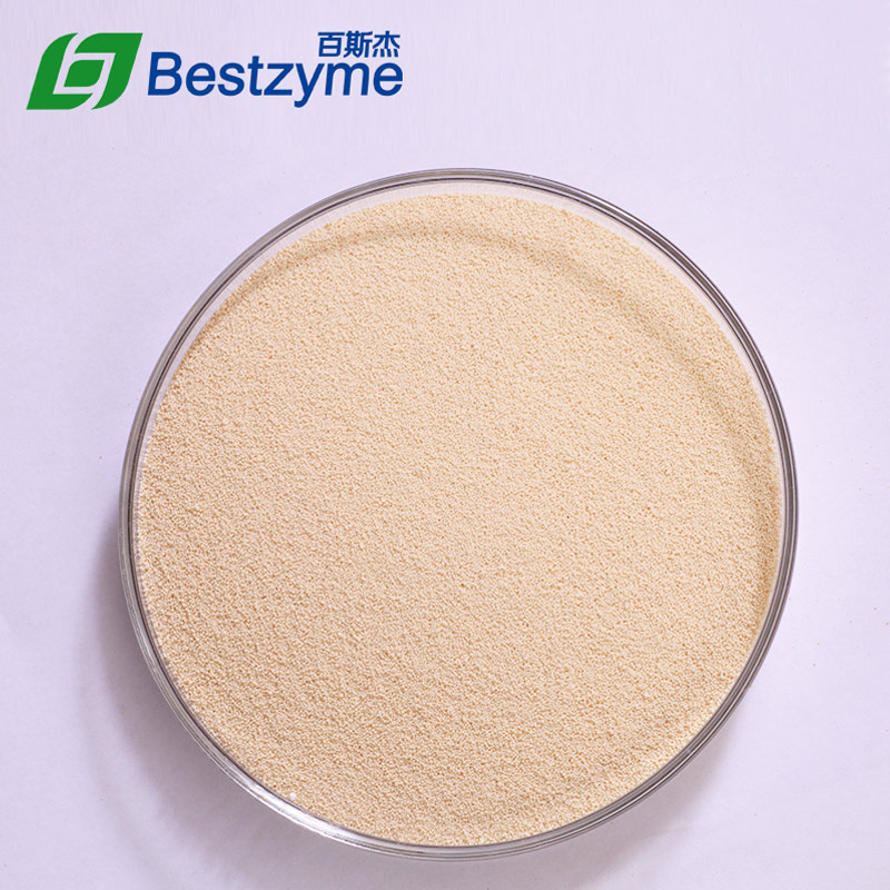 Bestzyme Thermostable Phytase Wholesale