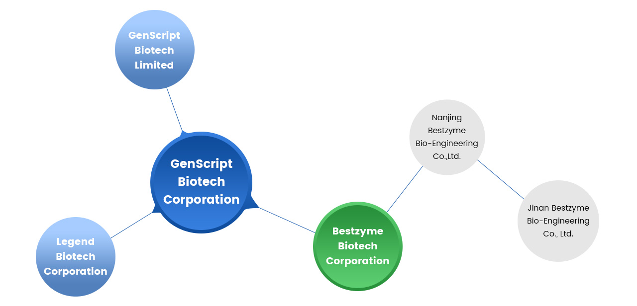 types of Bestyzme industrial enzymes