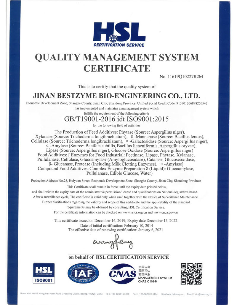 Bestzyme ISO9001
